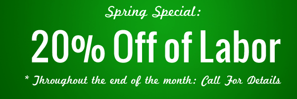 march-labor-special